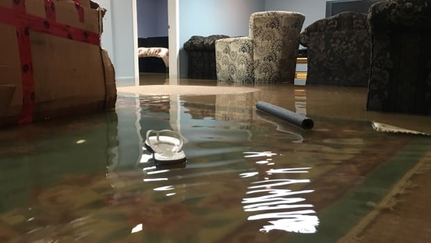 flooded basement repair Michigan